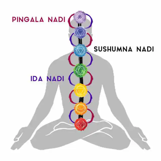 image of the seven chakras